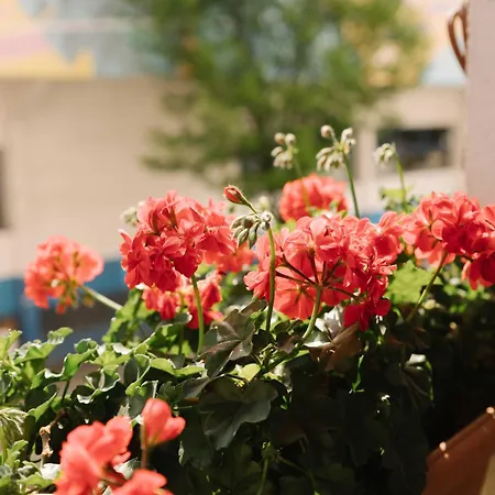 Casilla's House En Indautxu Bilbao