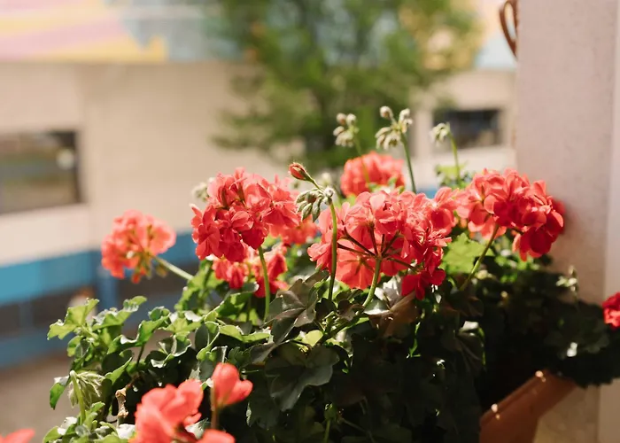 Casilla's House En Indautxu Bilbao